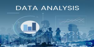 Business data analysis